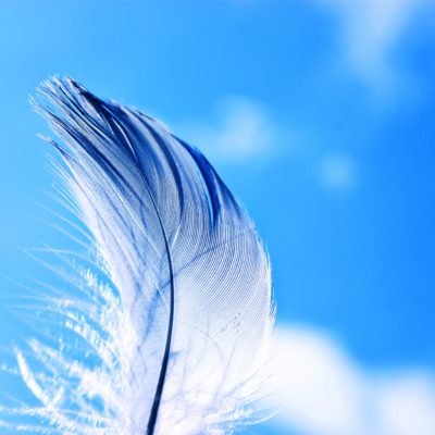 大家さんの身の振り方イメージ