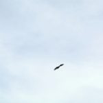 大きな流れに身を任せる
