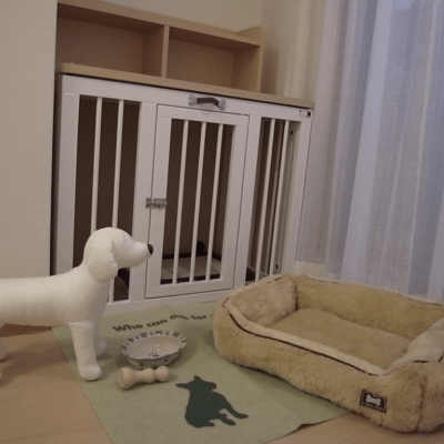 犬のステージング