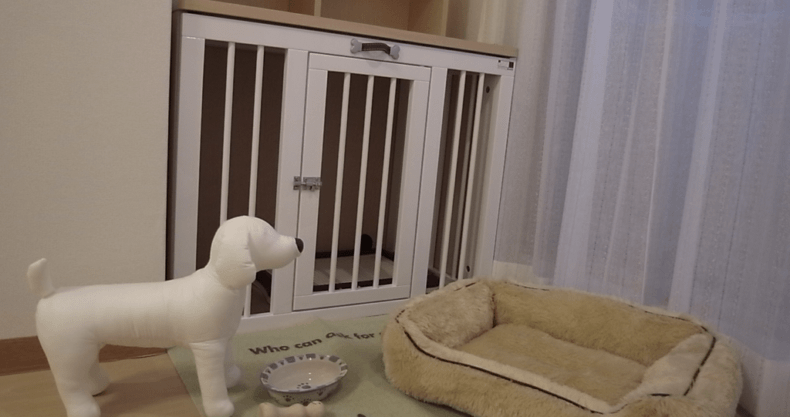 犬のステージング