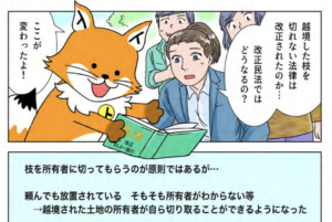 トウキツネ「越境されている枝を場合によっては自分で切っても良くなったよ」